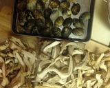 美味‼︎きのことあさりの炊き込みご飯♪作り方1写真