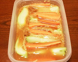 簡単！はやとうりと人参の味噌漬け作り方3写真