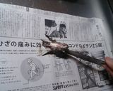 骨まで食べるメバルの唐揚げ作り方2写真