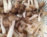 たらこ＊豆乳スープパスタ作り方3写真