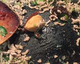 麻婆豆腐作り方7写真