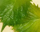 1ヶ月以上持つ！！簡単 青じそ保存方作り方4写真