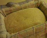 低温発酵＆高加水率（70％）のパン作り方21写真