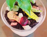 簡単!植物アイス (植木鉢風アイス)作り方6写真