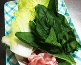 豚肉と白菜とほうれん草のみぞれポン酢作り方1写真