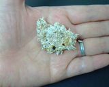 包丁不要！しめじのほぐし方と保存方法作り方4写真