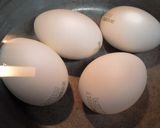 栄養満点【手羽元煮込み（卵・豆腐入り）】作り方3写真