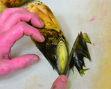 北海道料理 藤半の筍とふきの煮物作り方1写真