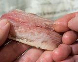 第5話 いわしの洋風蒲焼き　作り方19写真