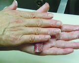 ジェンティールのゲシュネッツェル　作り方3写真