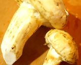 料亭の味*白だしde簡単松茸の土瓶蒸し♡作り方3写真