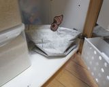 さといも保存っ！ベジバッジで解決っ！作り方2写真