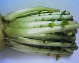 シャキシャキ☆菜っ葉汁作り方1写真