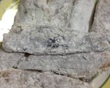 鰆唐揚げ作り方4写真