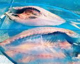 アジの天日干し作り方7写真