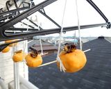柿ジャム！簡単、すぐできる☆電子レンジ作り方13写真