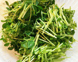 鶏ささみと豆苗のにんにく塩炒め作り方1写真