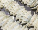 簡単◎ニラ使わない!大人のしそ餃子作り方6写真
