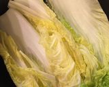 簡単！白菜豚巻き創味シャンタンクリーム煮作り方2写真