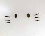 キャラ弁☆ハロウィンキティ作り方6写真