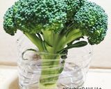 ♻️野菜プレップ｜下処理｜雑学｜①葉茎菜類作り方7写真