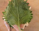 節約！鶏胸肉と高野豆腐でＢＩＧチキンカツ作り方6写真