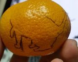 柿ウサギ(ﾉ´∀｀*)フルーツでもアート作り方14写真
