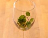 さわやか！きび酢のリンゴジュース割り作り方1写真