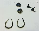 ふなっしー☆大根おろしアート鍋作り方4写真