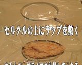 鰹のふりかけでおかかチーズのライスバンズ作り方6写真