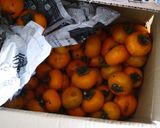 干し柿作り方6写真