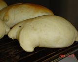 インチキ動物園　～開園～作り方9写真