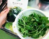 三つ葉とわかめのからし醤油あえ作り方1写真