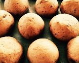 手ごねパン♡チョコ♡ふんわーりふわふわ作り方8写真
