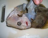 かわはぎの刺身を肝で食べてみよう！！作り方4写真
