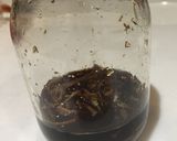 わたし流 生姜湯作り方4写真