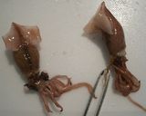 ホタルイカの炊き込みご飯作り方1写真