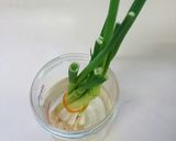 リボベジも！青ネギ( 万能ネギ)の保存☆作り方5写真