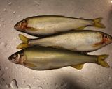 鮎の薄味煮作り方1写真