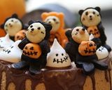 Ｈａｌｌｏ　Ｗｅｅｎシフォンケーキ作り方12写真