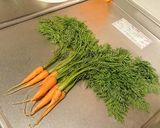 にんじん菜のスムージー作り方1写真