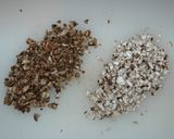 香りがそそる☆チキンソテーのキノコソース作り方4写真