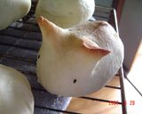 インチキ動物園　～カバ＆カメ～作り方11写真