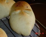 インチキ動物園　～カバ＆カメ～作り方10写真