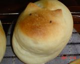 インチキ動物園　～カバ＆カメ～作り方9写真