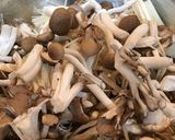 キノコと鶏むね肉で柔らかみぞれ煮作り方1写真