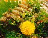 【1分♪】お刺身が美味しくなる醤油タレ♡作り方2写真