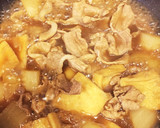 簡単☆だいこん・豚肉・油揚げの煮物作り方3写真