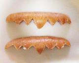 ハロウィン弁当にコウモリの飾り切り作り方3写真