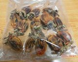 干し柿の作り方作り方3写真